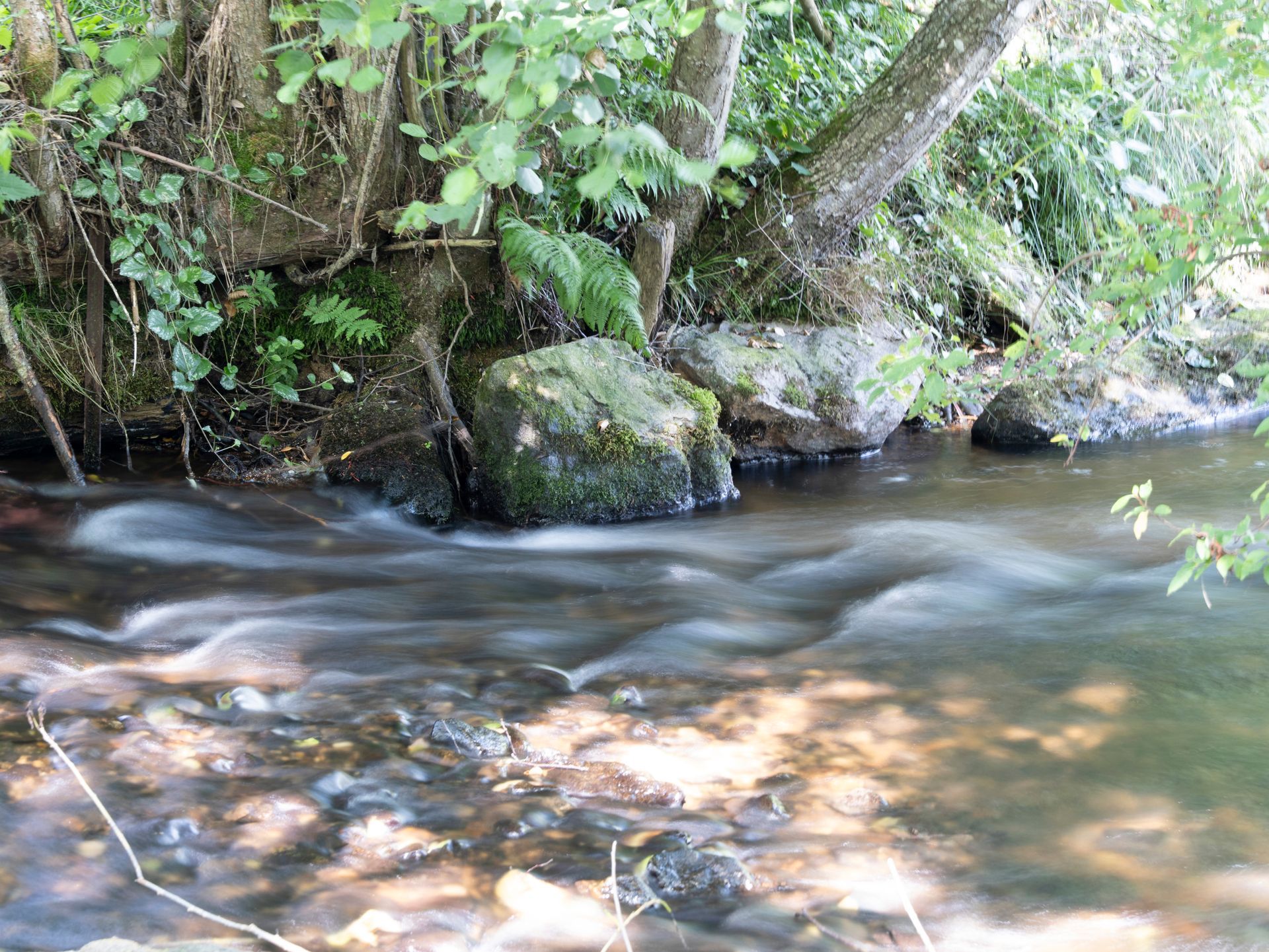 Flanitz River