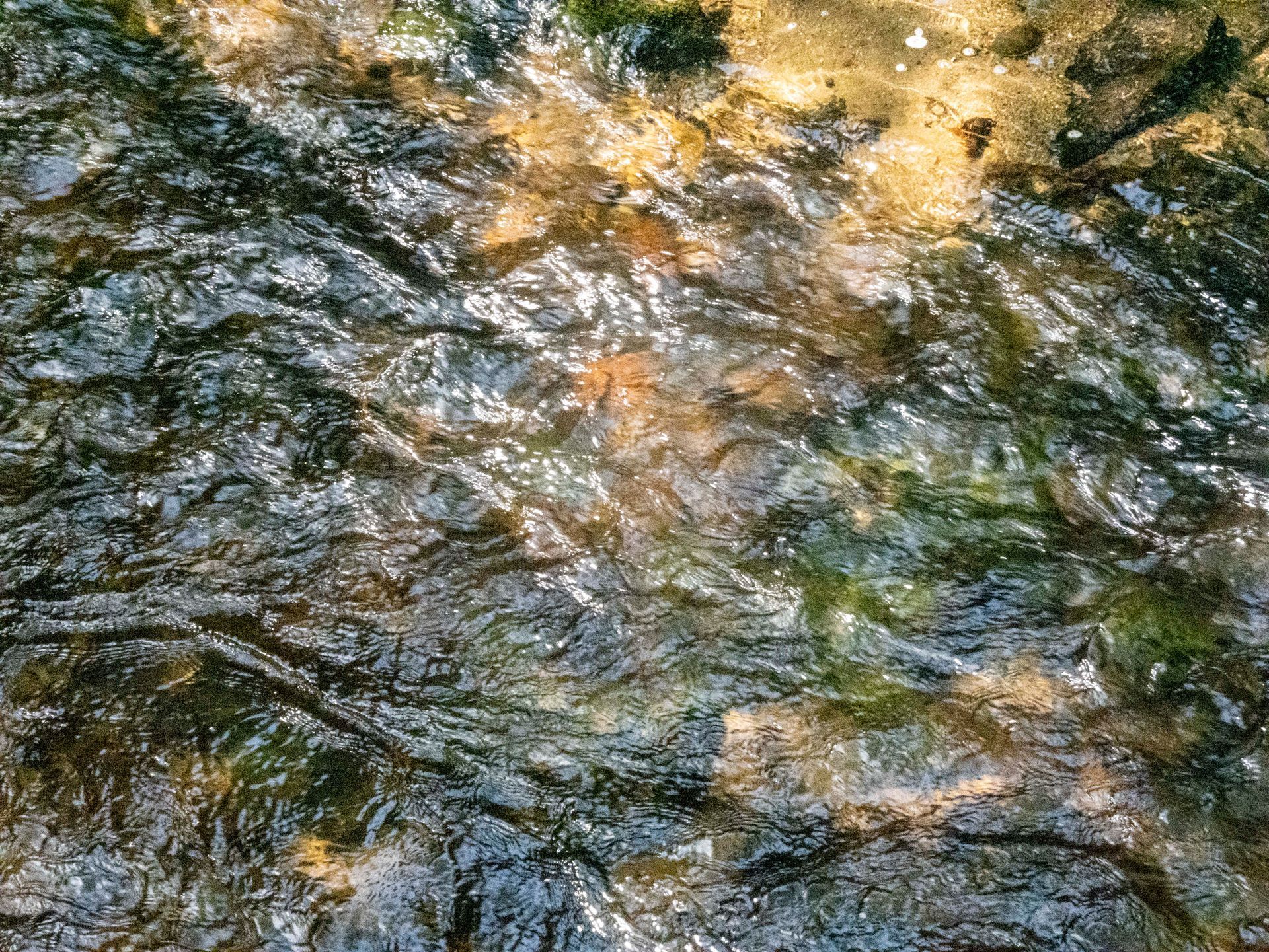 Flanitz River