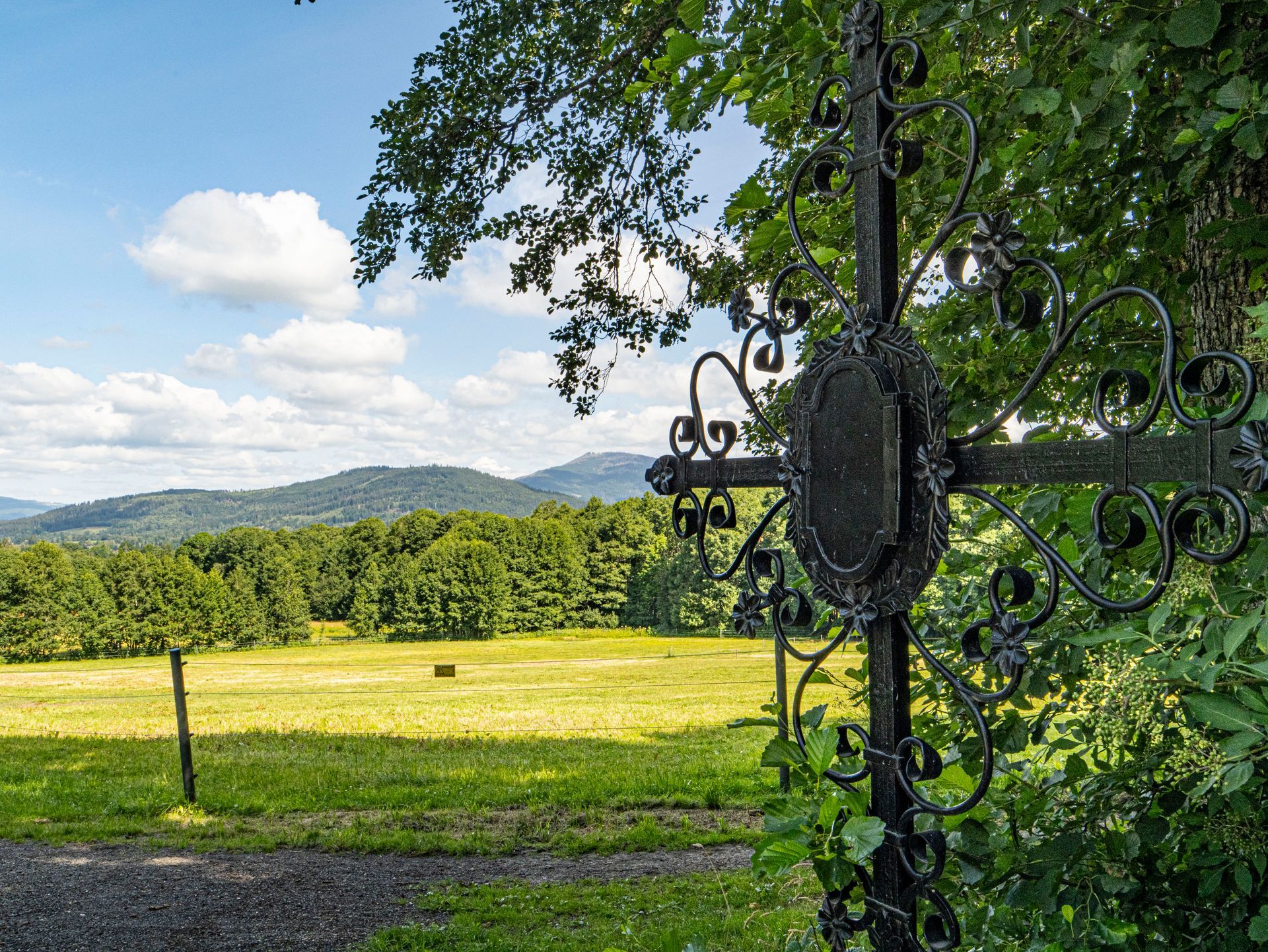 Look into the Landscape