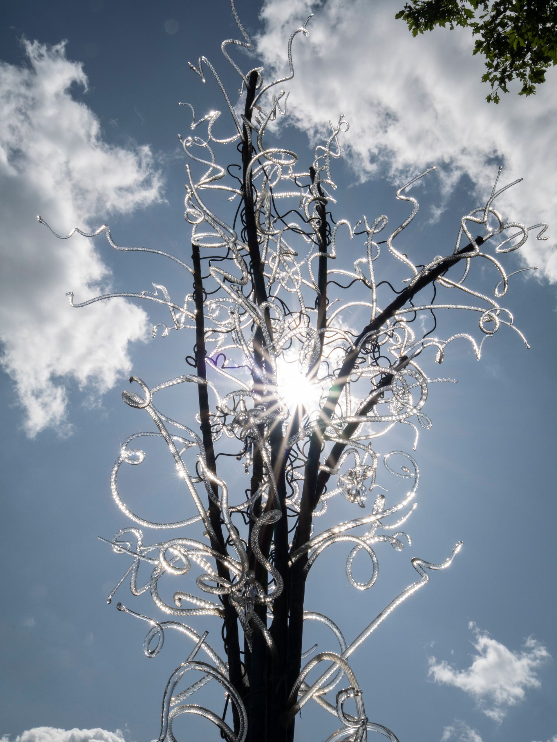 Glass Tree with Sunstar