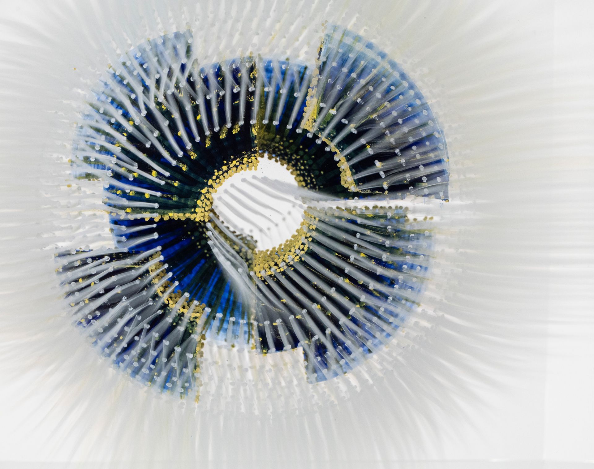 Glass Object