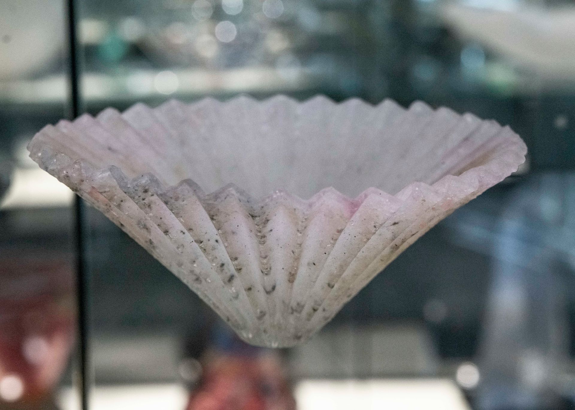 Glass Cup