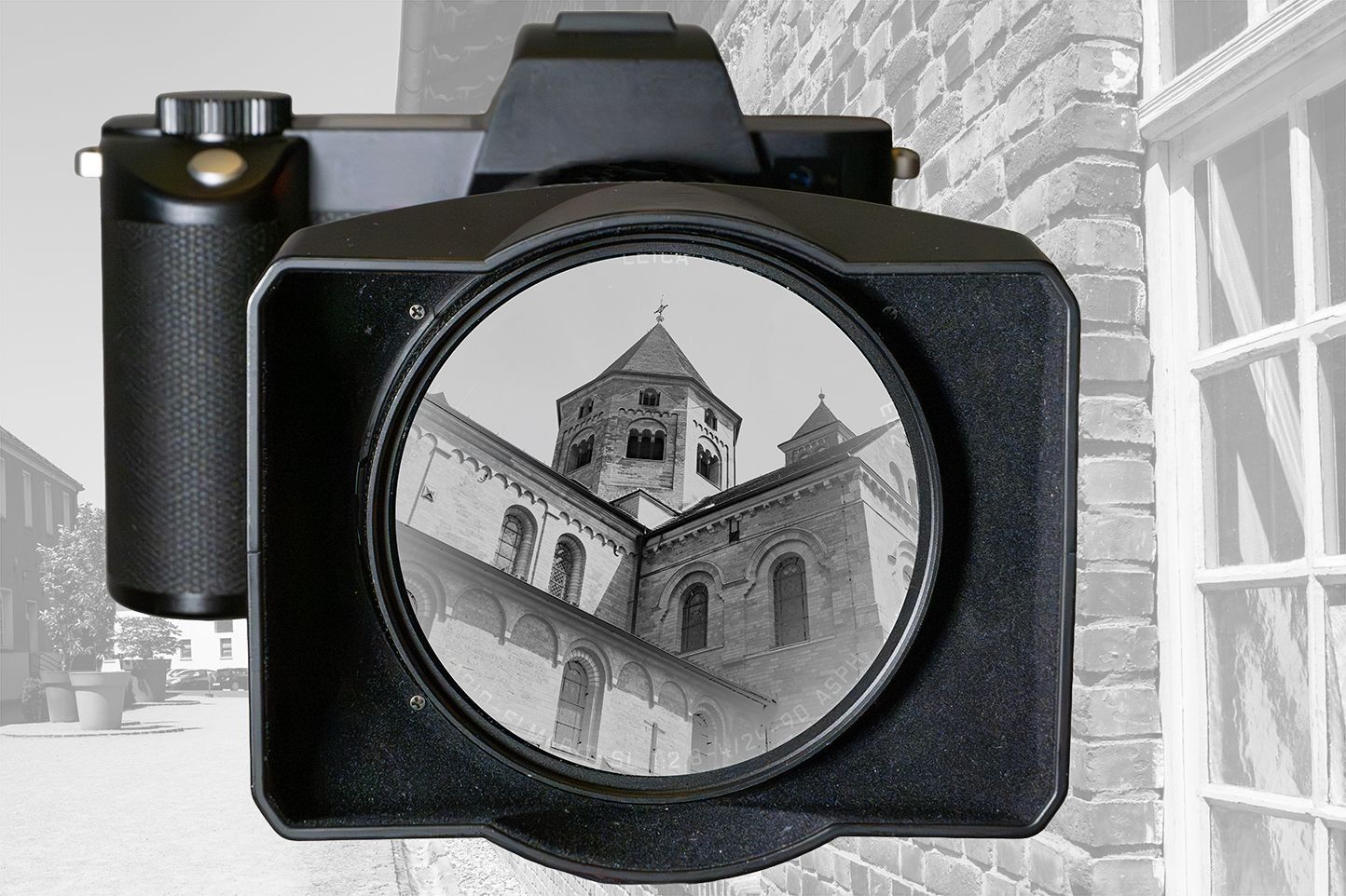 Photo Training / Workshop