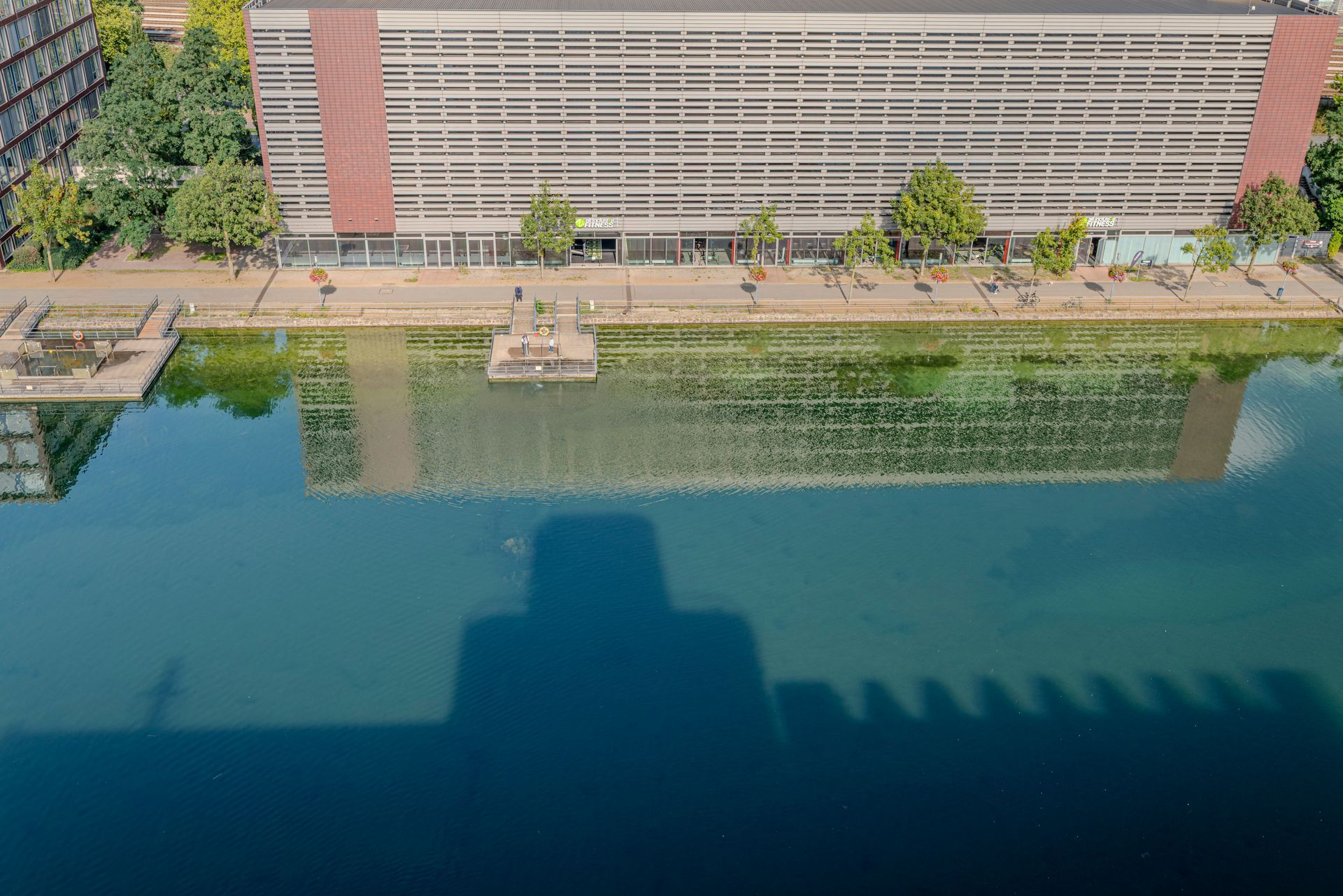 view from the rooftop