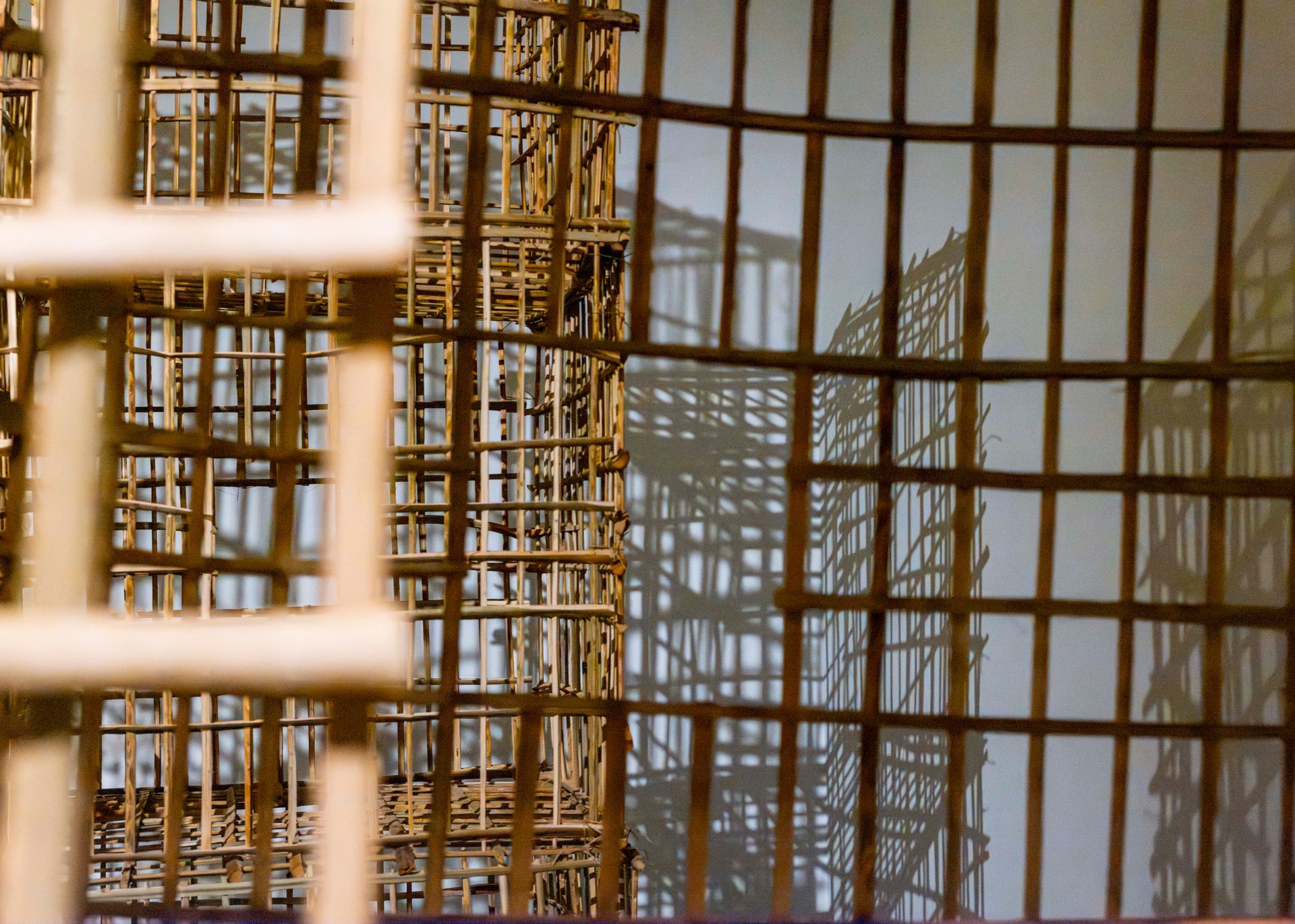 collection distorted photo