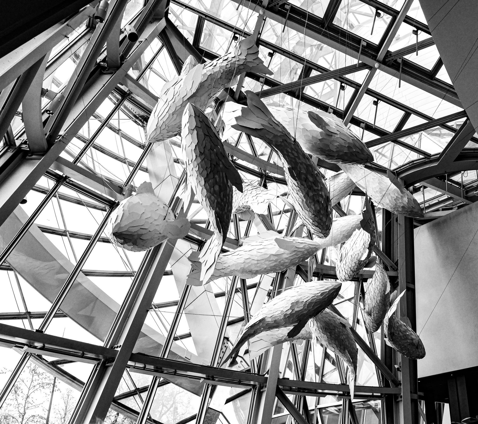 Inside Frank Restaurant