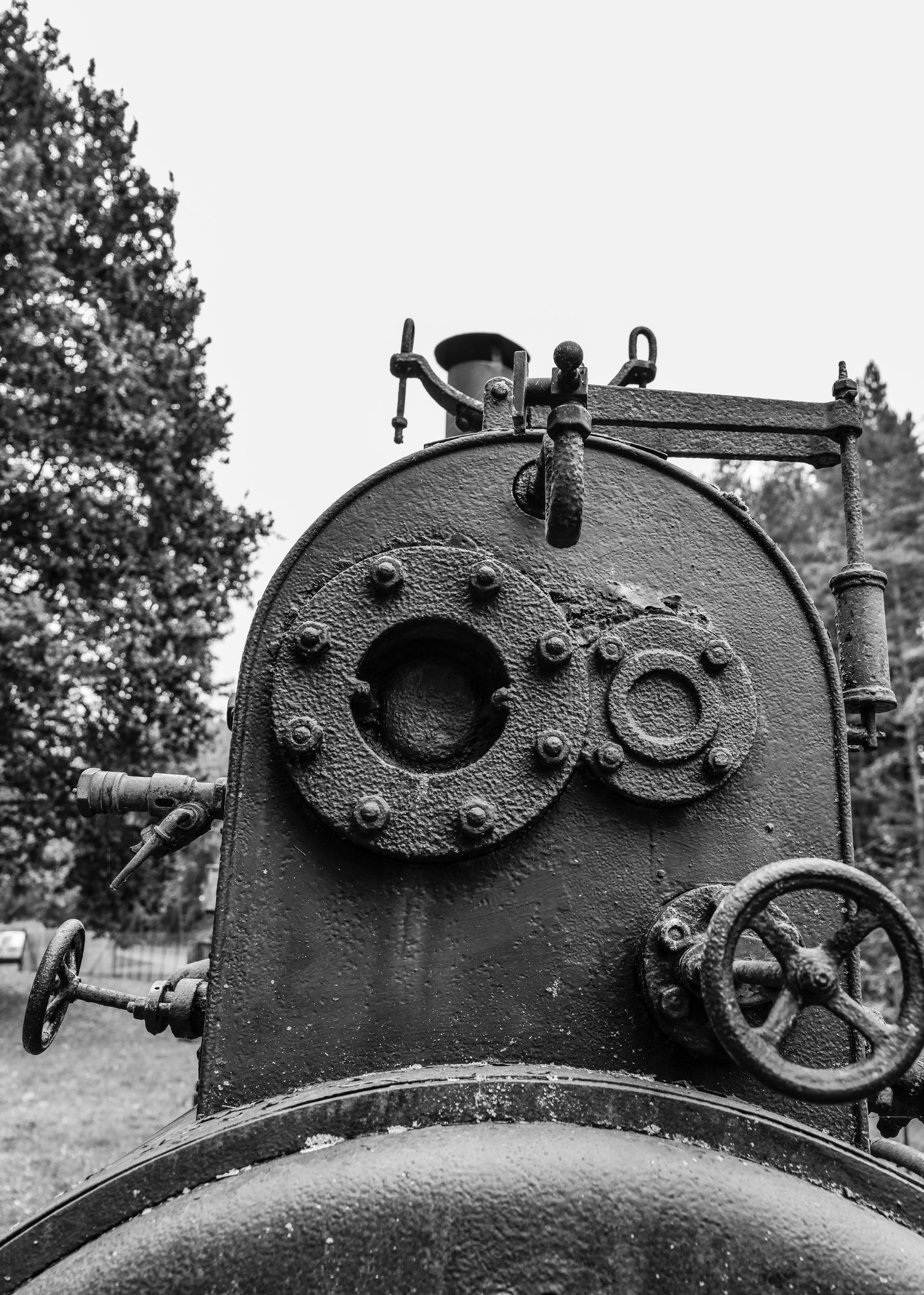 Steam Machine Agroneum