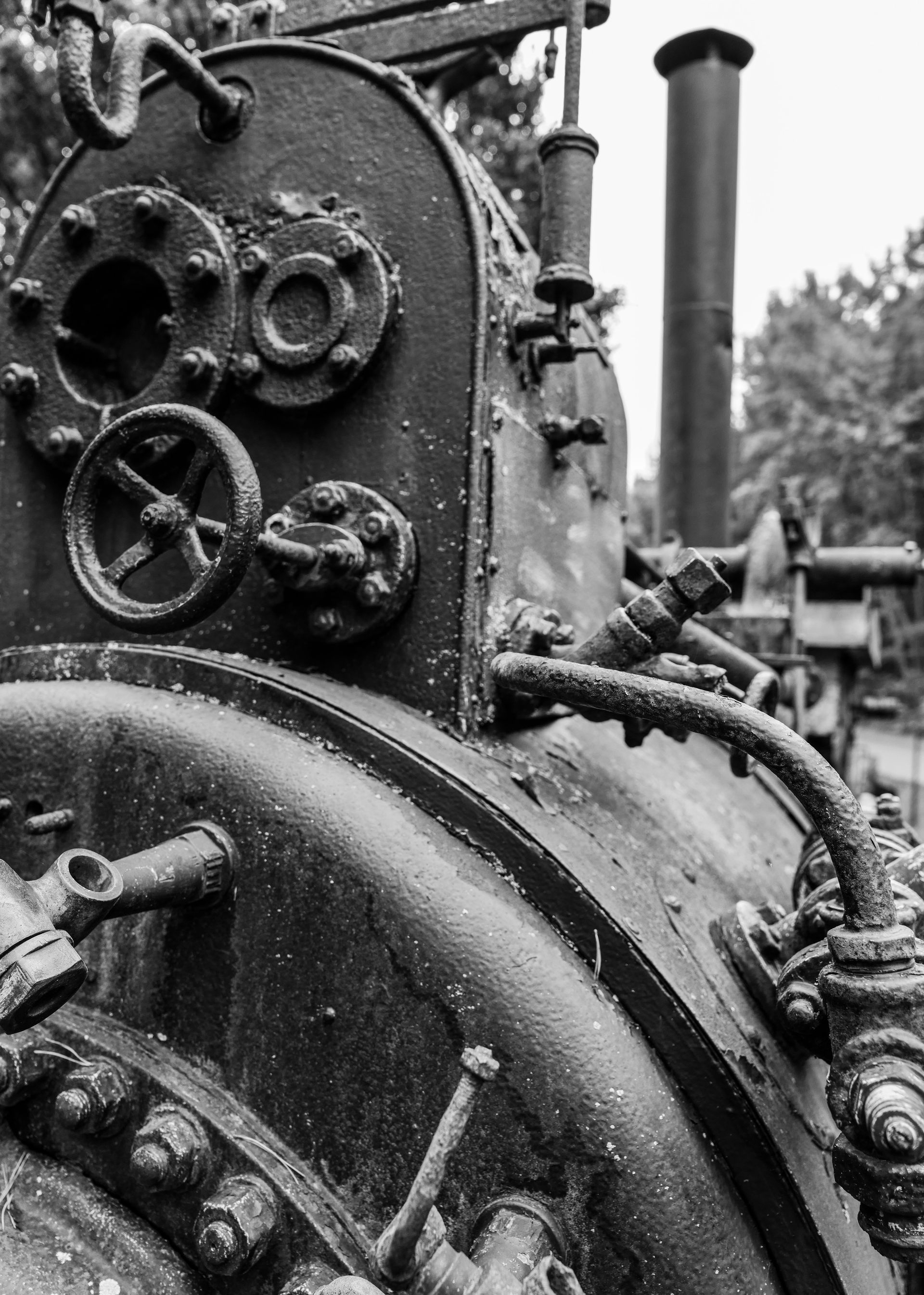 Steam Machine Agroneum