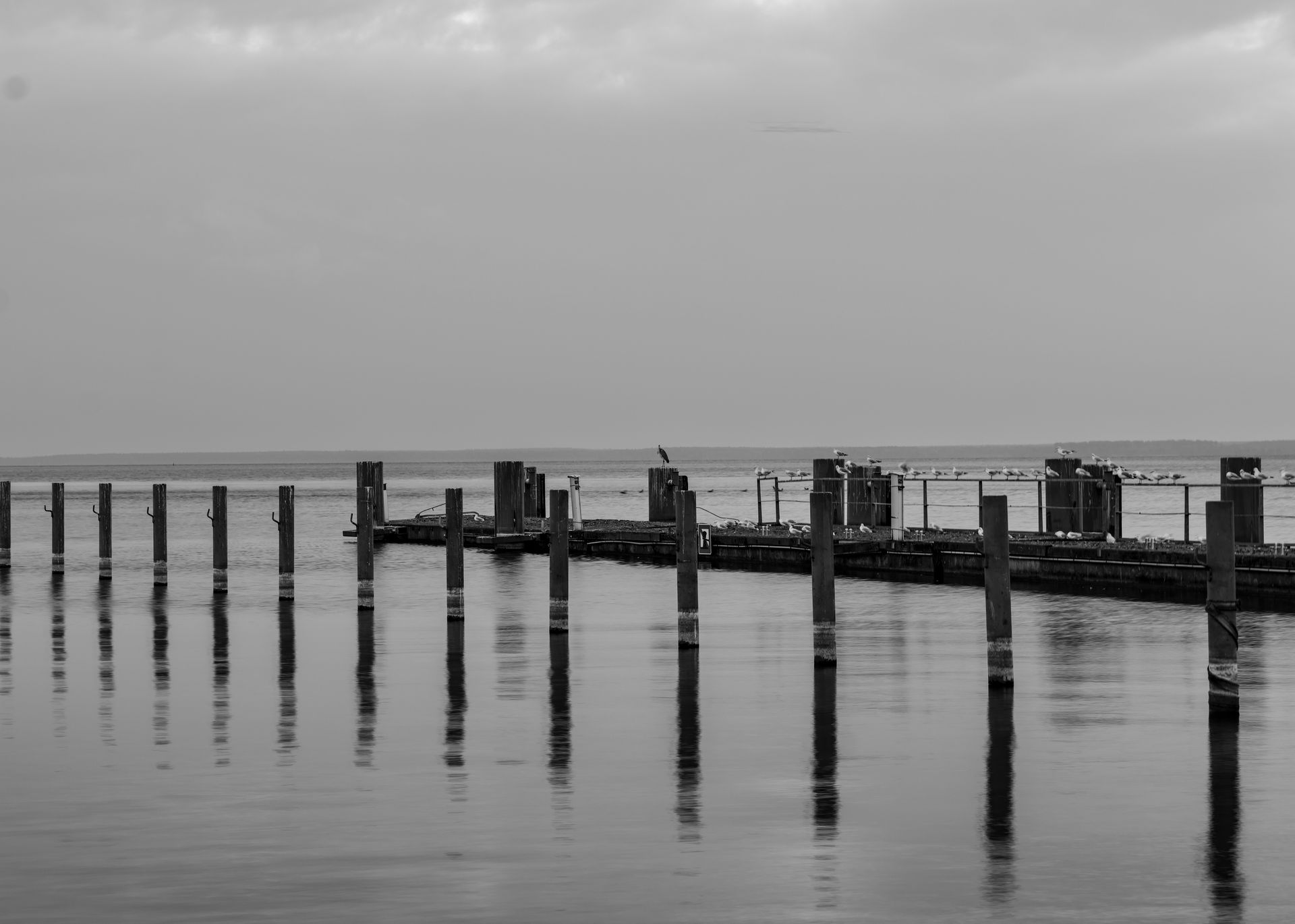 Müritz Morning Mood