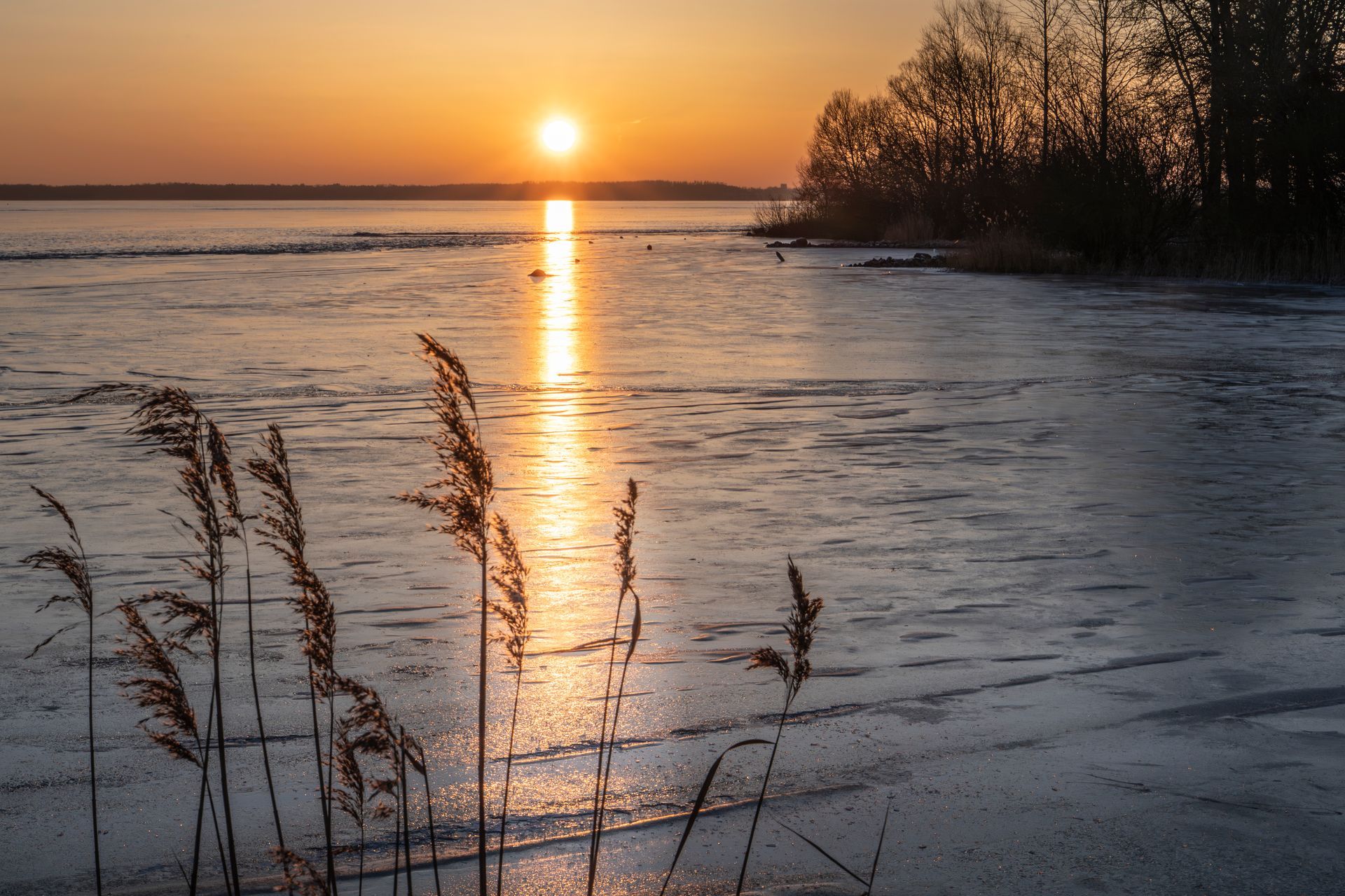 Sunrise at the Müritz Lake