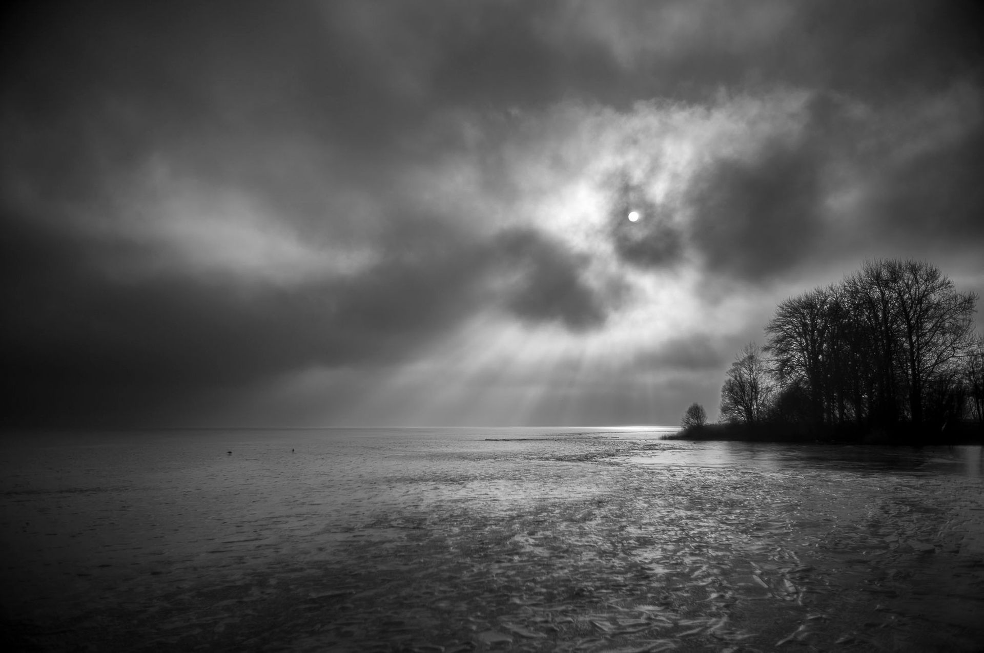 Müritz Nebel lichtet sich