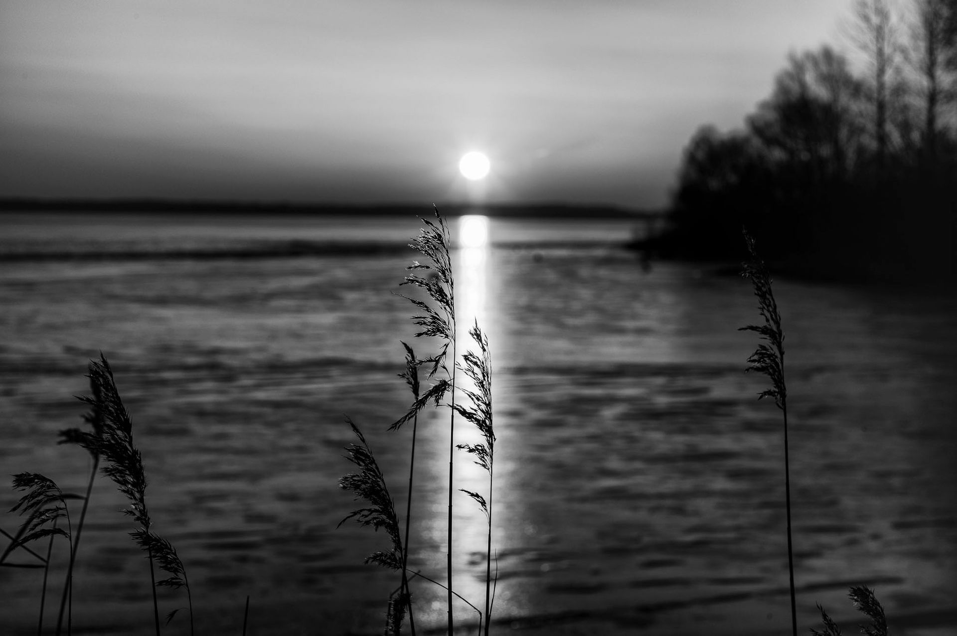 Morgens an der Müritz