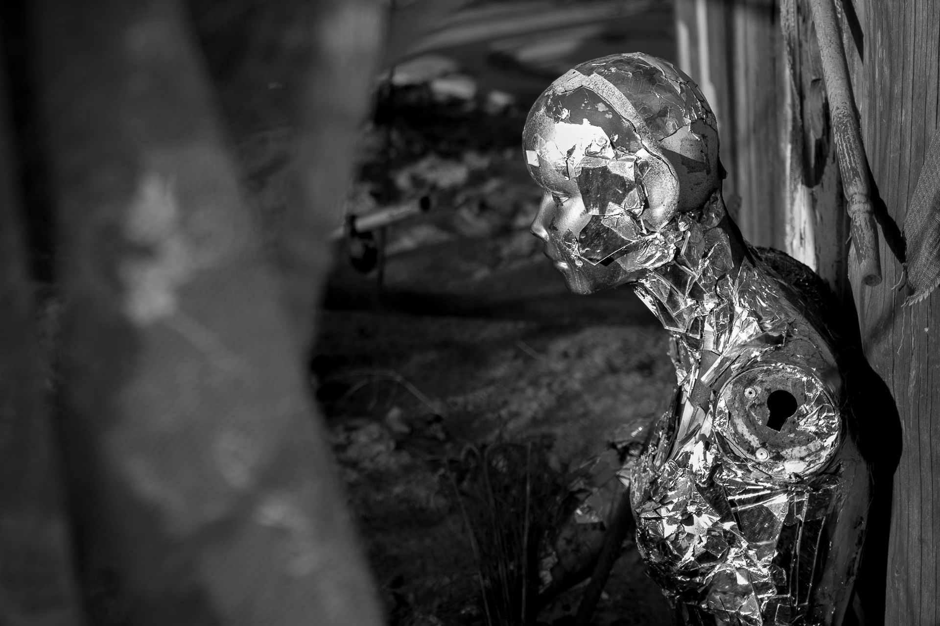 Fusion Gelände auf dem Lärz