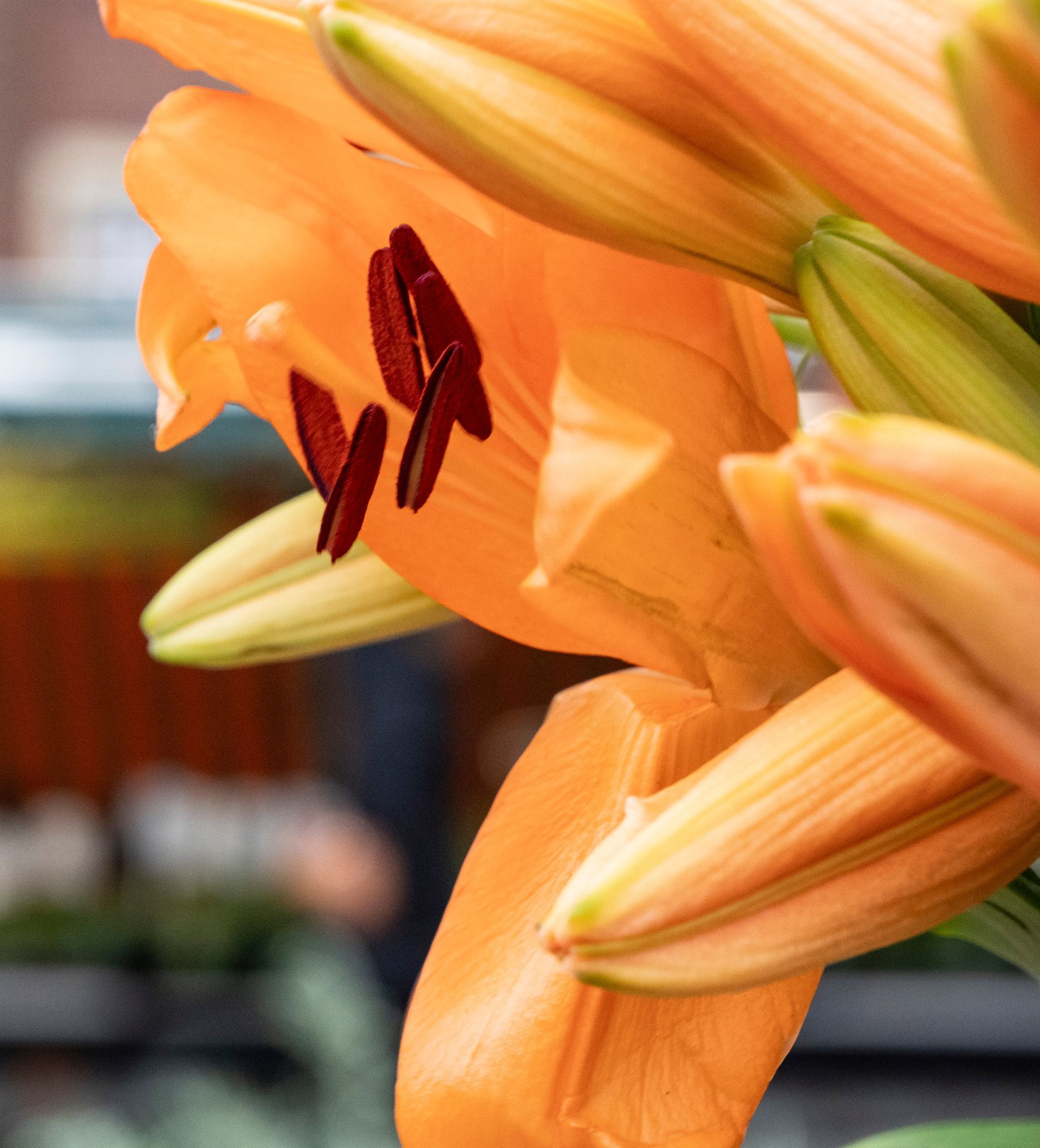 Market Day in Muenster