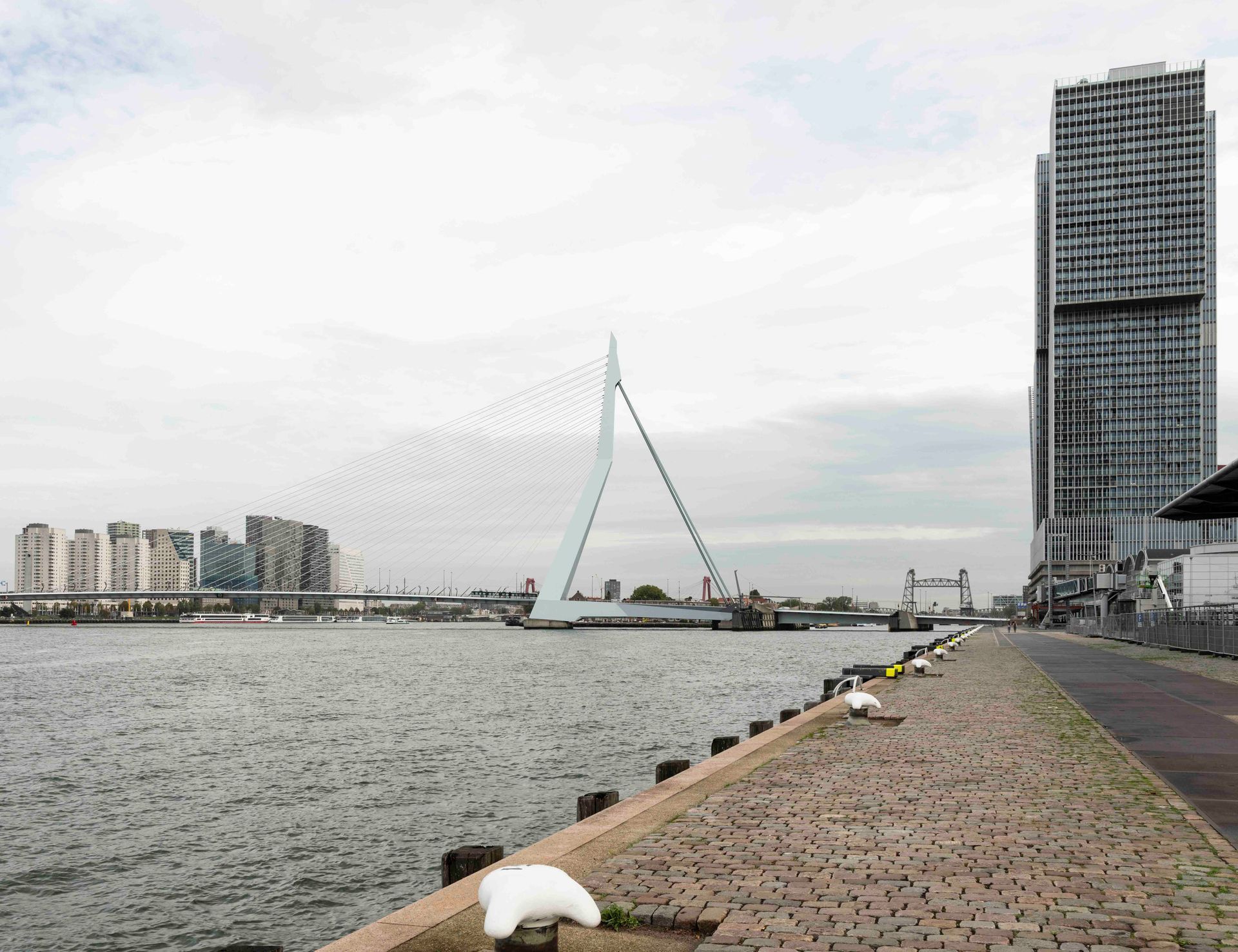Erasmus Bridge