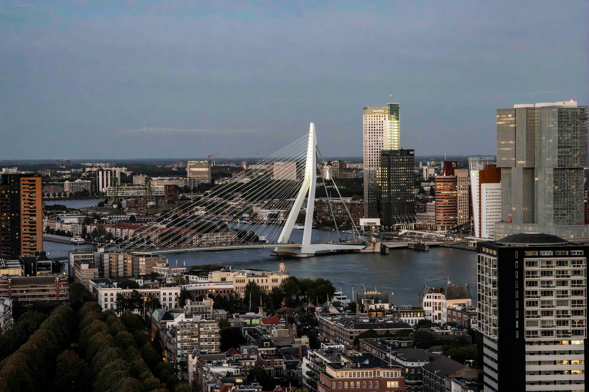 Erasmus Bridge from Euro Mast