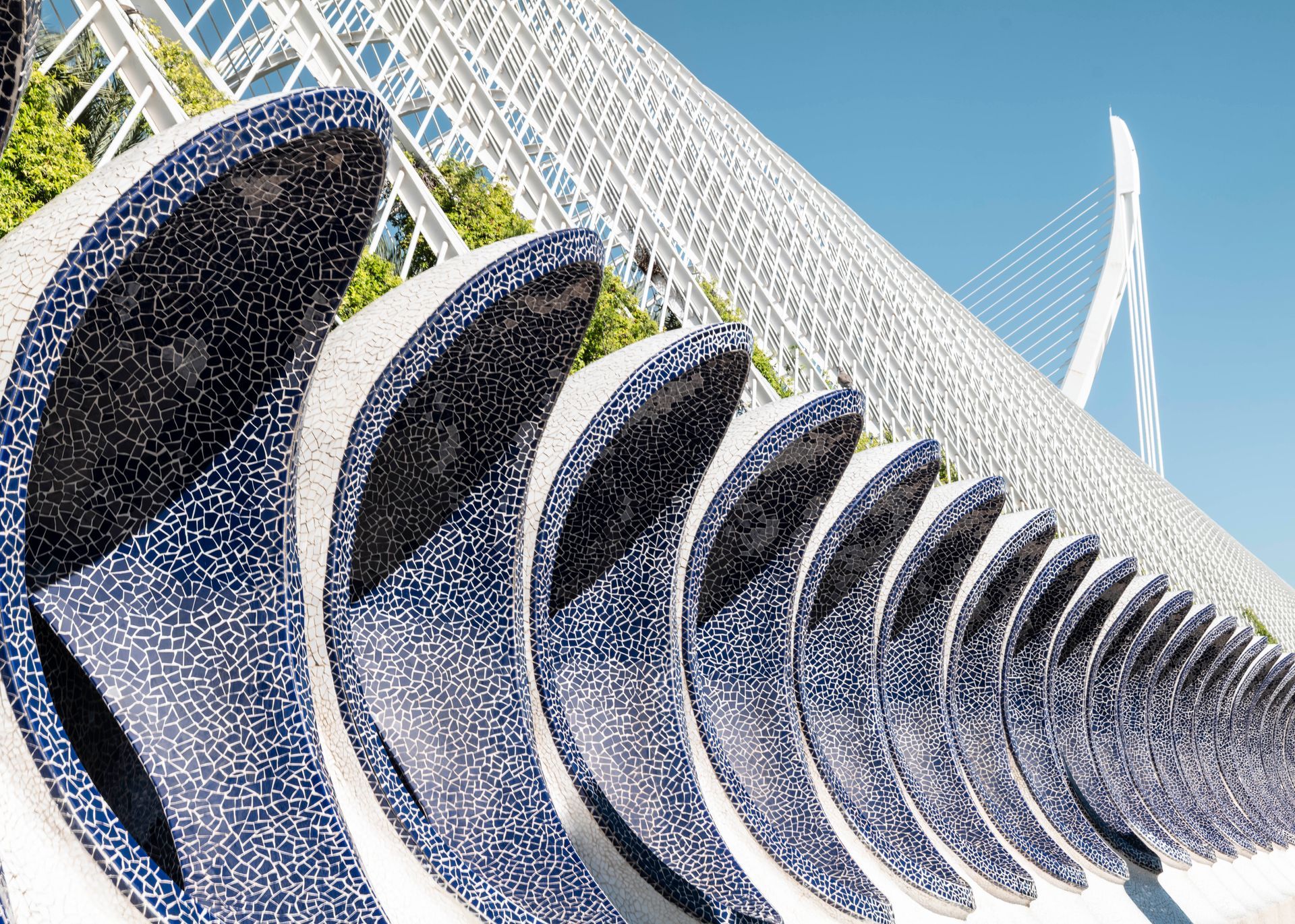 Umbracle Detail