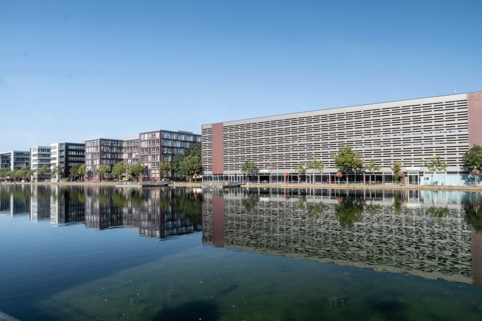 view from the rooftop