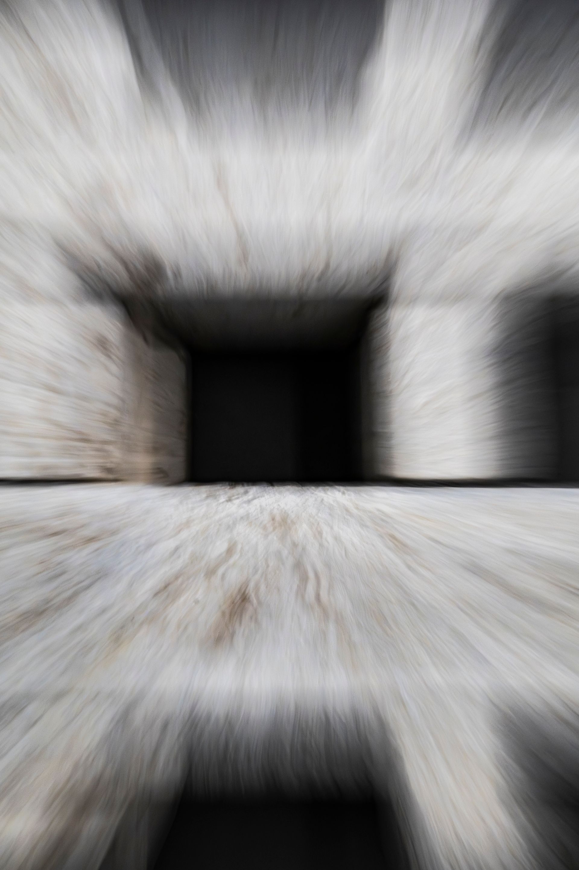 collection distorted photo