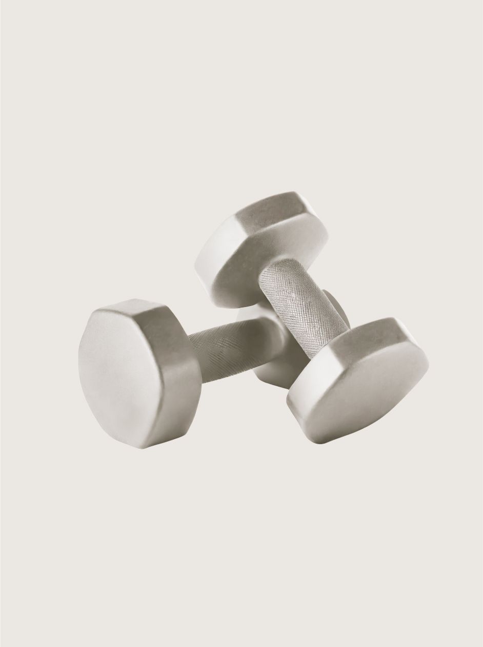 Two metallic, hexagonal-shaped dumbbells resting on a plain, light-colored background.