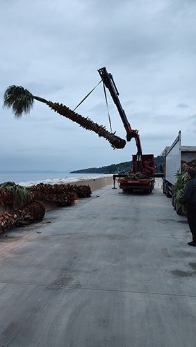 Μεταφορές – Γερανοί – Οδική Βοήθεια ΑΦΟΙ ΚΑΡΑΛΗ Ο.Ε.