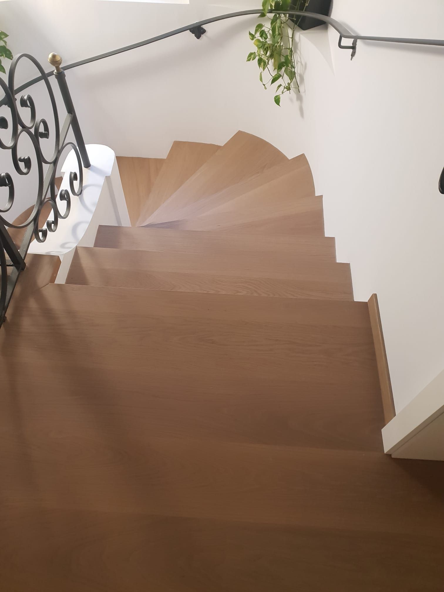 Pozzi pavimenti SA|Mendrisio