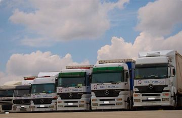 Una fila de camiones Mercedes están estacionados en un estacionamiento.