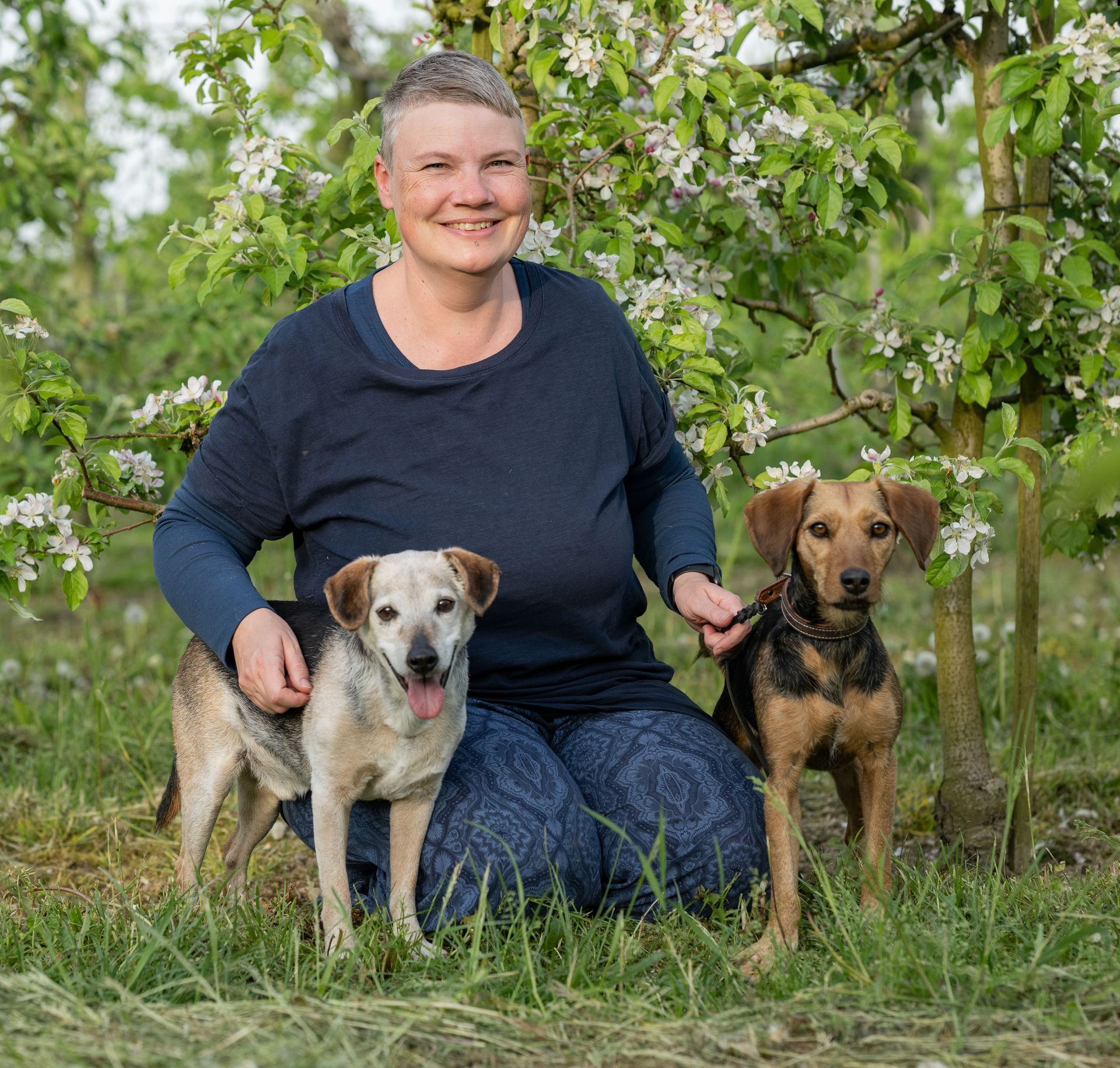 HundeAkademie