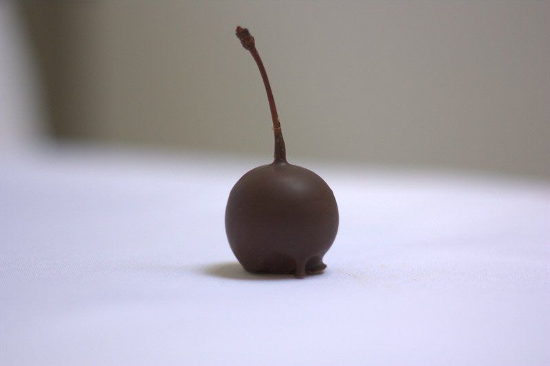 Griottine eau de vie