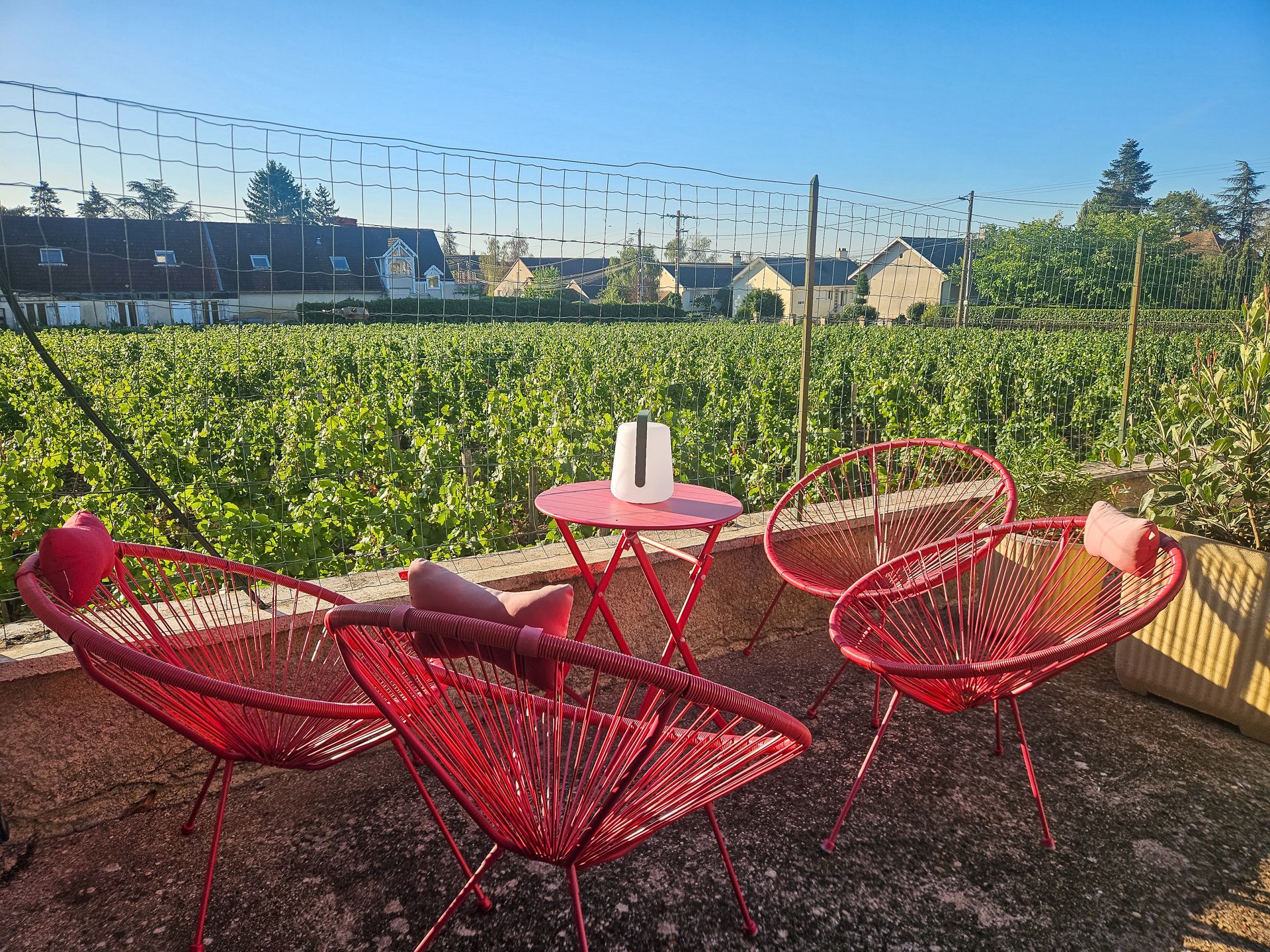 La terrasse du Clos des Loups face aux vignes de Morey-Saint-Denis