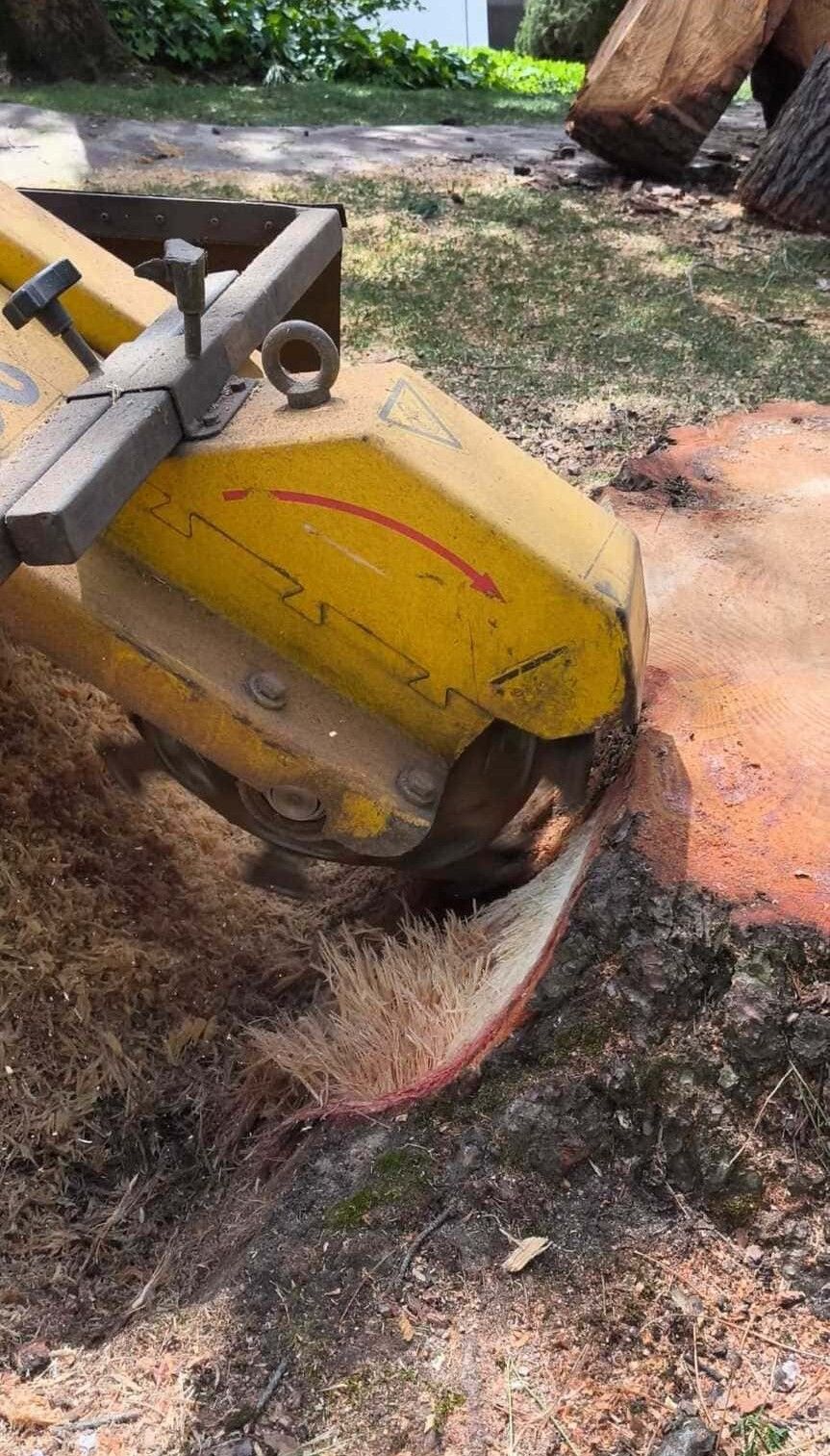 Una excavadora amarilla retira tierra naranja junto a una zona de césped y raíces de árboles.