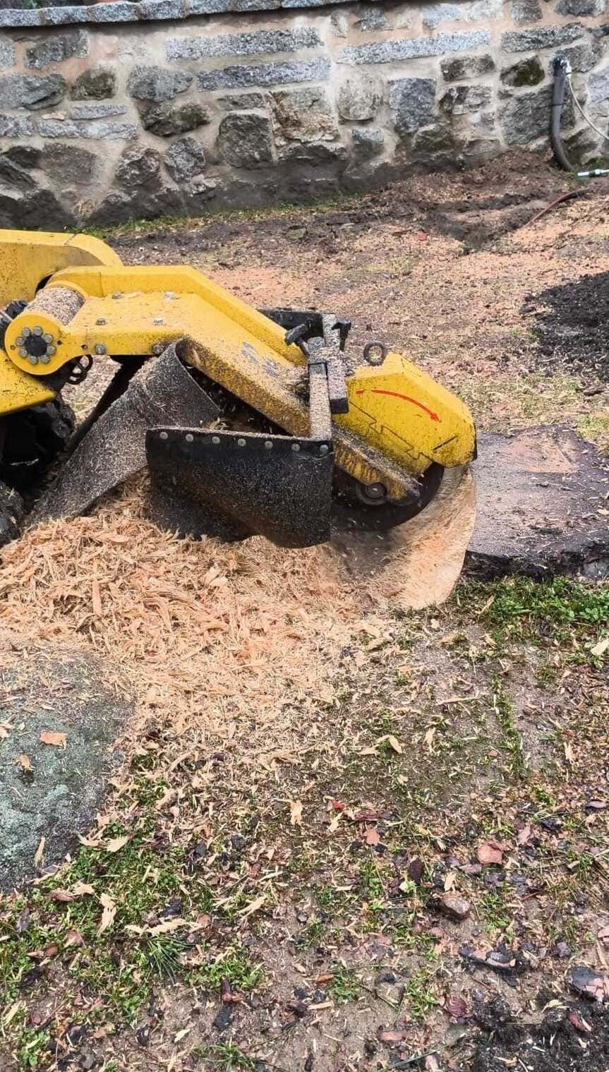Una excavadora amarilla tritura tocones junto a un muro de piedra en una zona de tierra y grava.