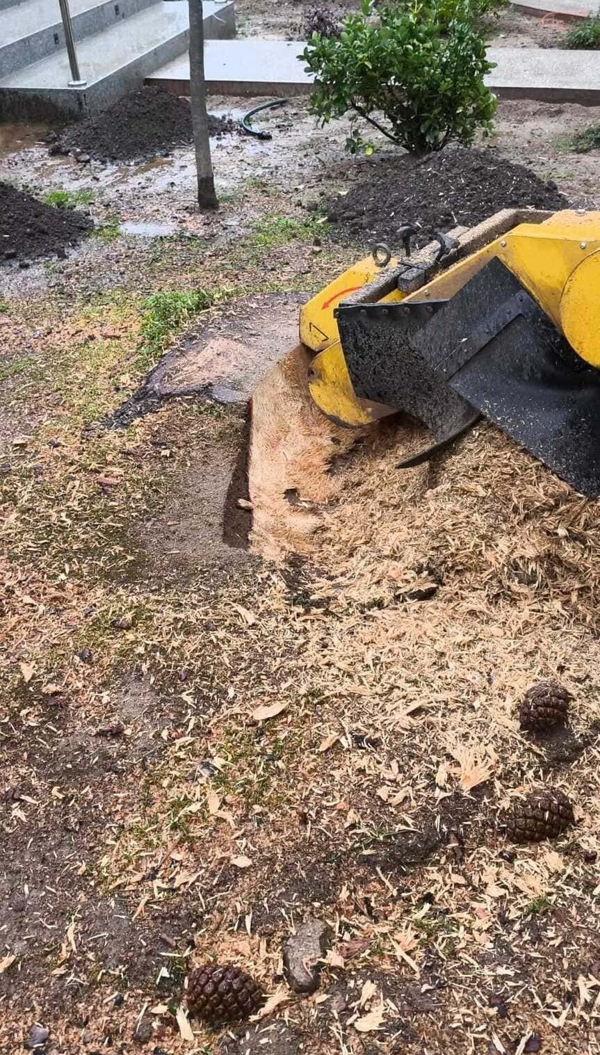 Una excavadora amarilla recoge virutas de madera y tierra en una zona ajardinada al aire libre.