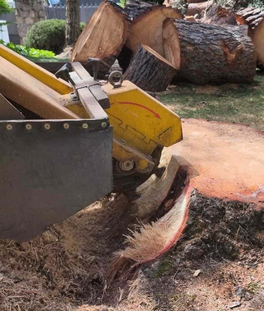Una trituradora de madera amarilla corta un tocón de árbol, arrojando los restos a un montón al aire libre.