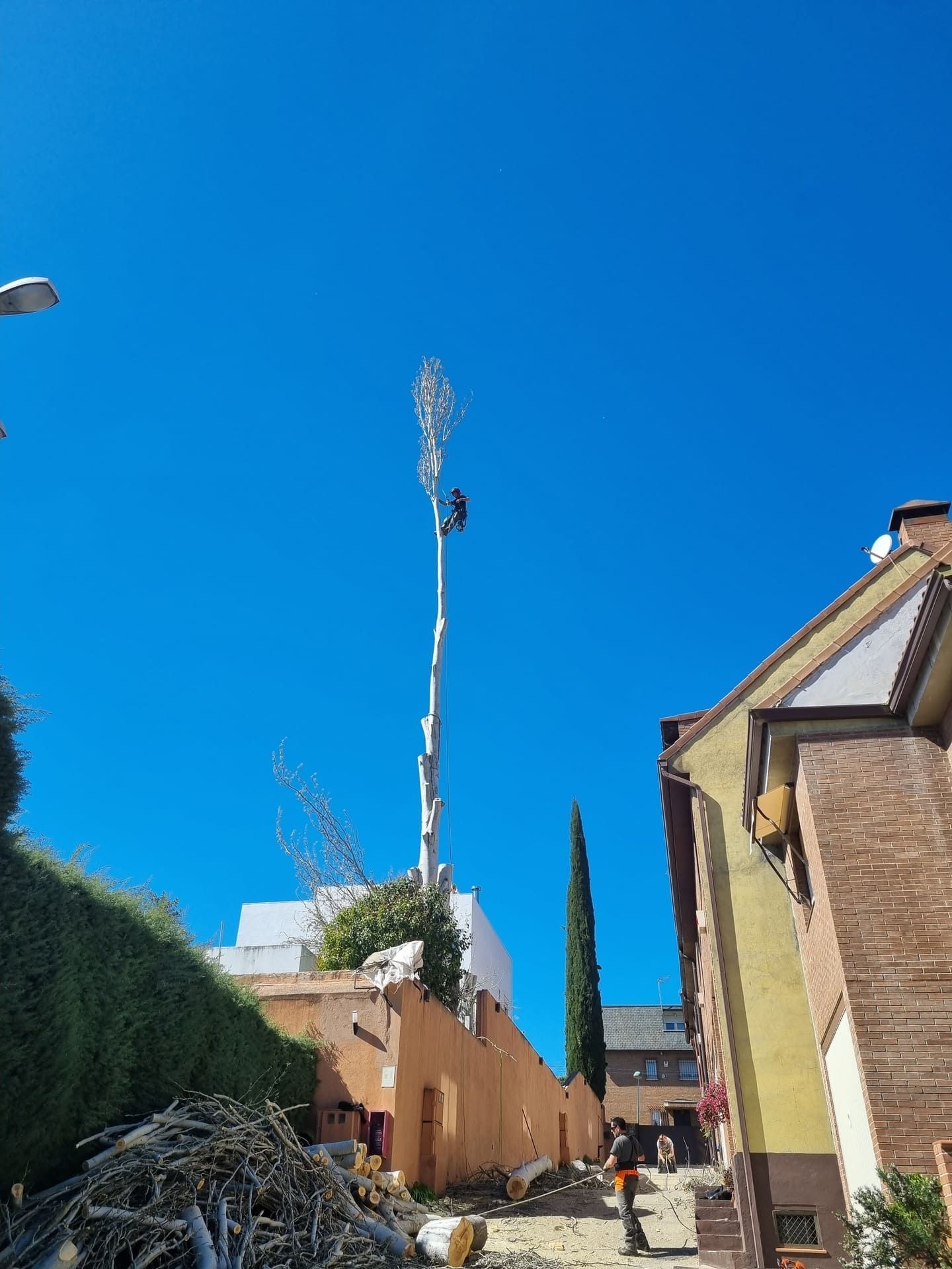 Callejón residencial con casas de ladrillo, setos y un poste de luz alto contra un cielo azul despejado.