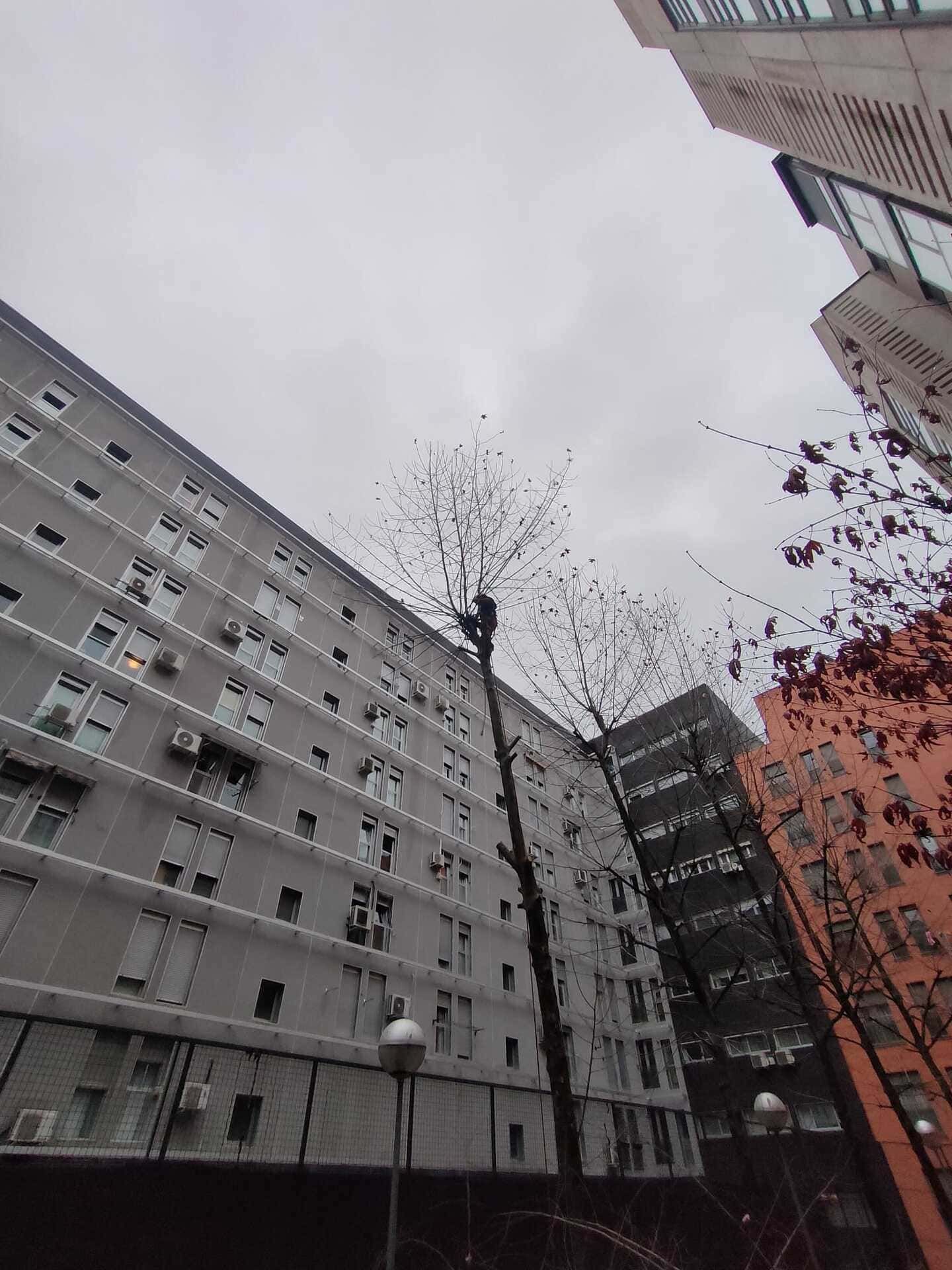 Vista desde un ángulo bajo de altos edificios de apartamentos alrededor de un patio bajo un cielo gris.