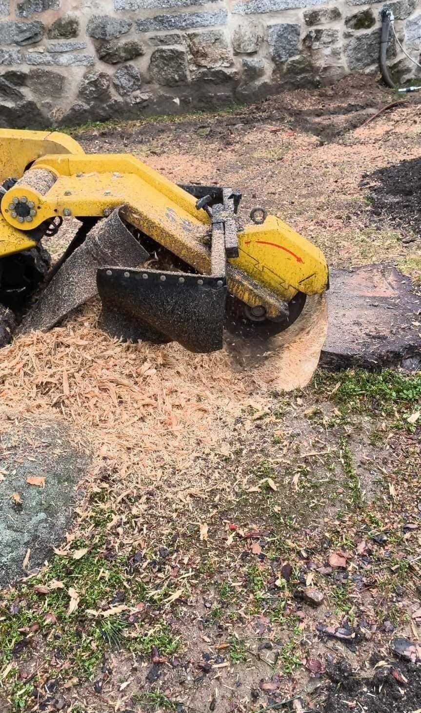 Una excavadora amarilla está removiendo tierra junto a un muro de piedra y un terreno cubierto de hierba.