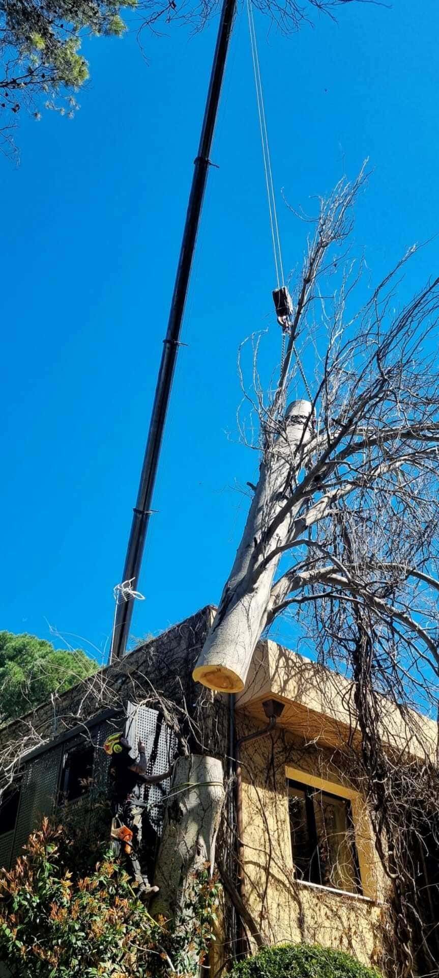 Un poste negro alto junto a un edificio color canela bajo un cielo azul brillante, con un árbol sin hojas cerca.