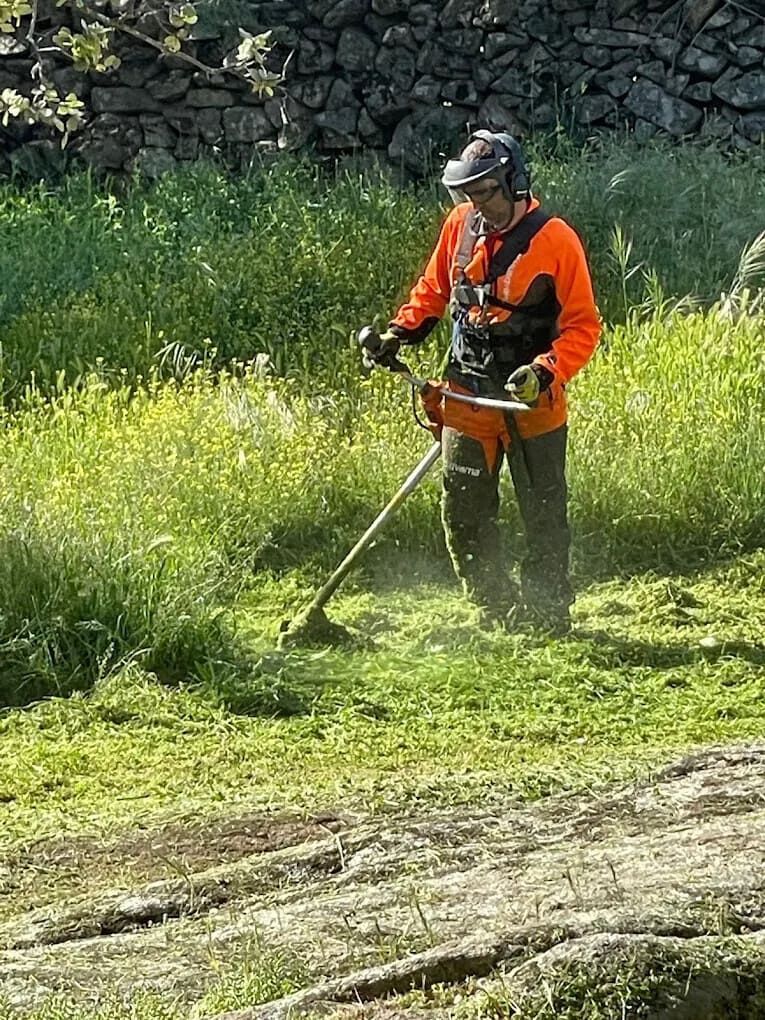 Un trabajador con equipo de seguridad naranja utiliza una desbrozadora en un arcén cubierto de hierba.