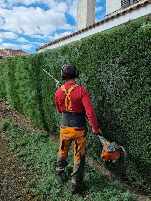 Una persona con ropa de trabajo naranja está podando un seto verde alto con una podadora de setos.