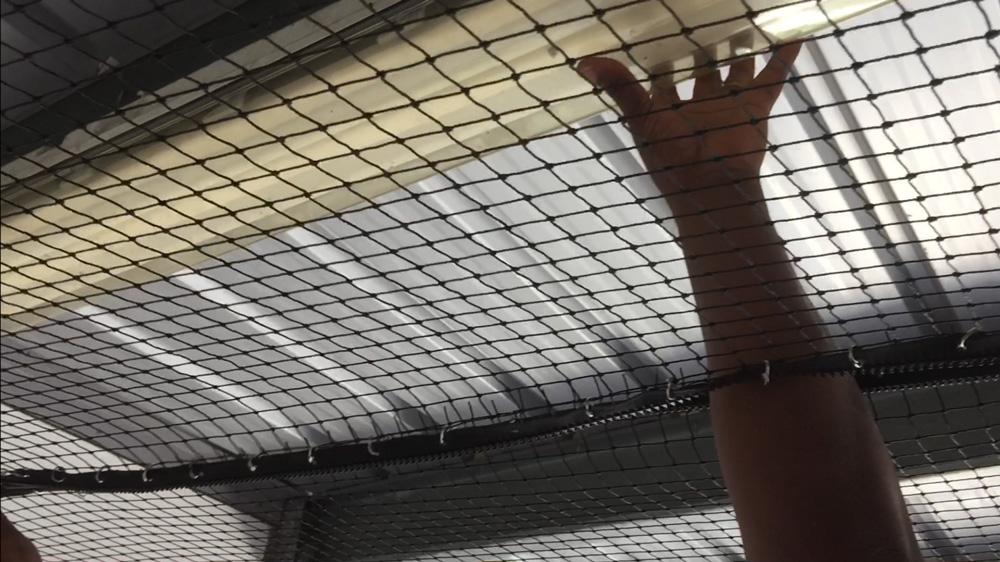 Filet contre pigeons