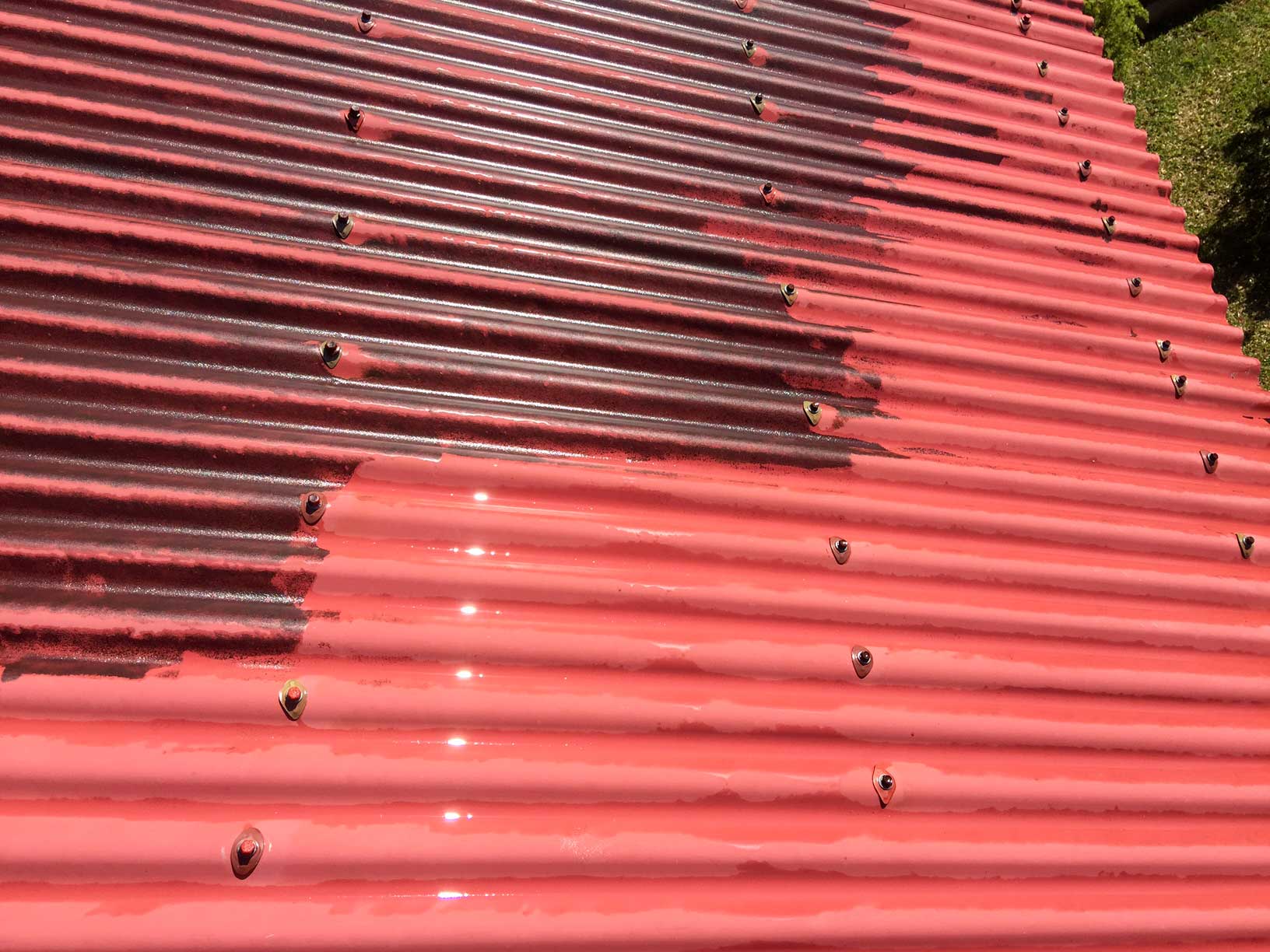 Démoussage d'une toiture en tôle