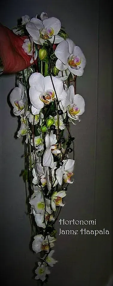 Kukkakauppa Virvalilja Laihia