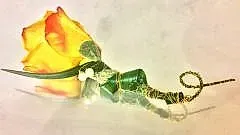 Kukkakauppa Virvalilja Laihia