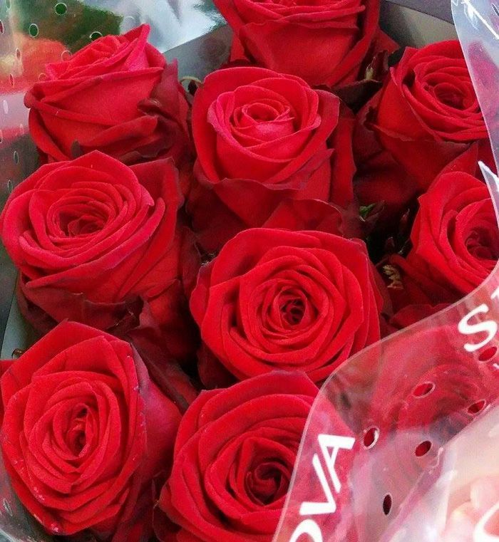 Viherpalvelu Virvalilja