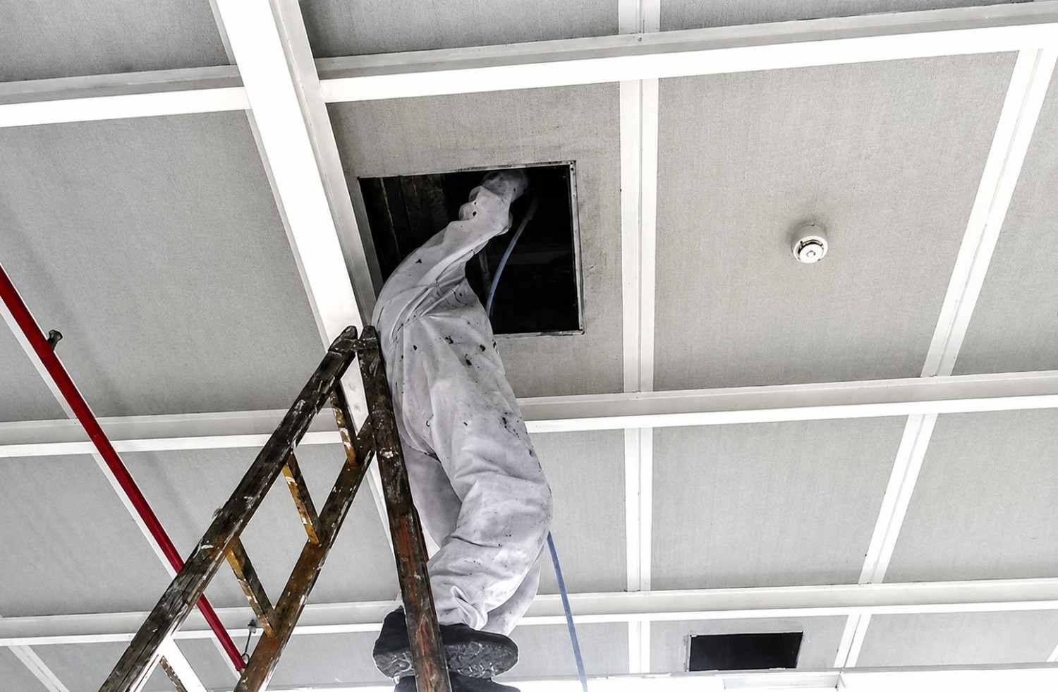 Un trabajador subido a una escalera repara un agujero en un techo de paneles blancos.