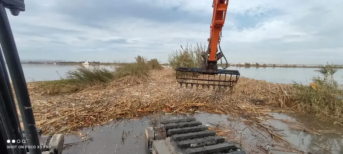 Excavadora en una barcaza limpiando la vegetación de una costa inundada bajo cielos nublados.