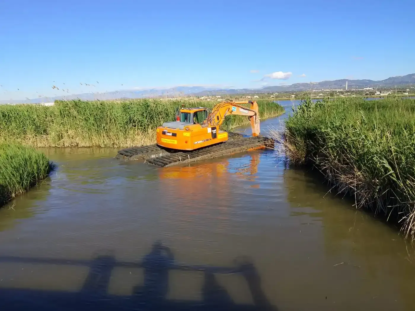 Una excavadora amarilla draga un estrecho canal de agua entre altos juncos verdes bajo un cielo despejado.