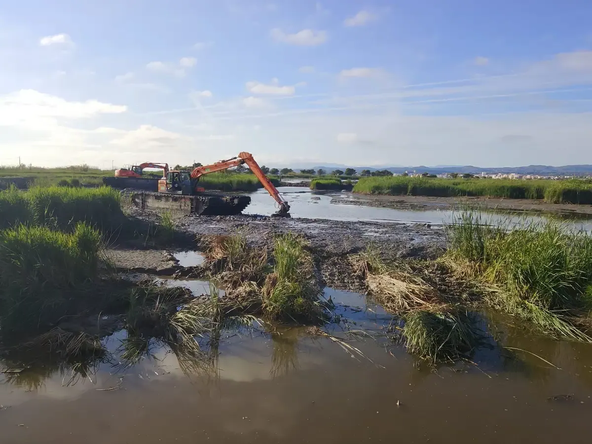Excavadora retirando escombros de una marisma inundada bajo un cielo azul.