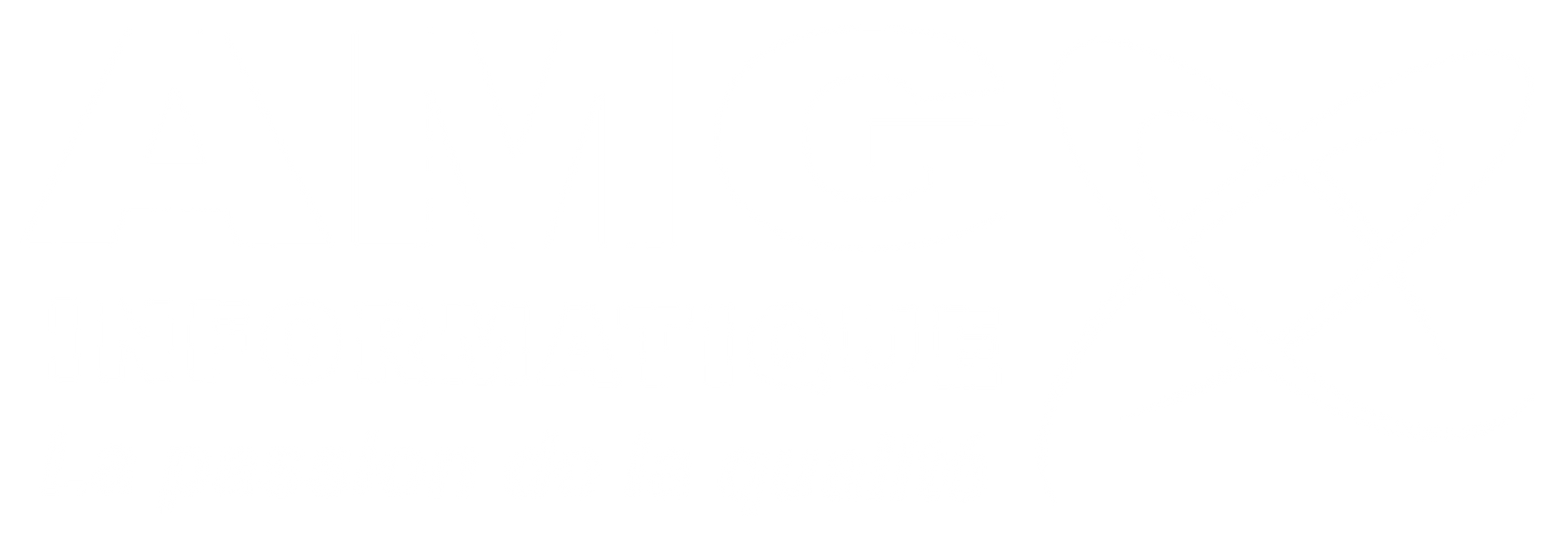 Logo : AMG Informatique. La passion de la qualité.
